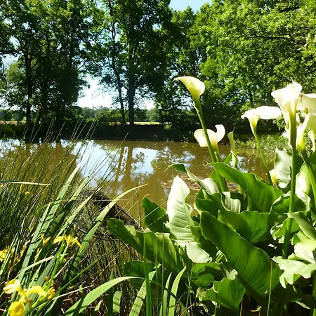 Сasa de vacaciones De La Petite Fosse Aux Loups Sainte-Radegonde (Gironde)