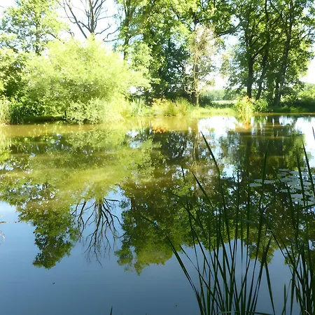 De La Petite Fosse Aux Loups Сasa de vacaciones Sainte-Radegonde (Gironde)