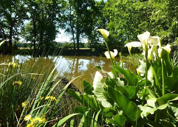 Сasa de vacaciones De La Petite Fosse Aux Loups Sainte-Radegonde (Gironde)
