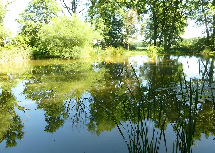 De La Petite Fosse Aux Loups Сasa de vacaciones Sainte-Radegonde (Gironde)