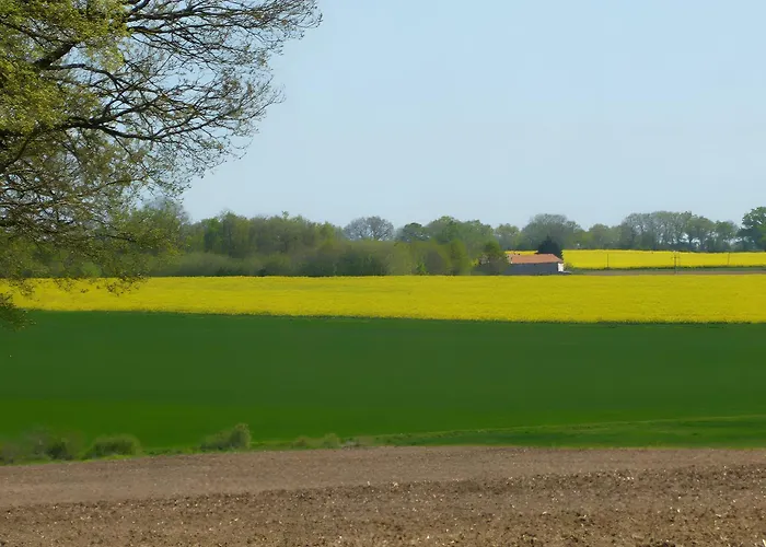 De La Petite Fosse Aux Loups Sainte-Radegonde (Gironde)